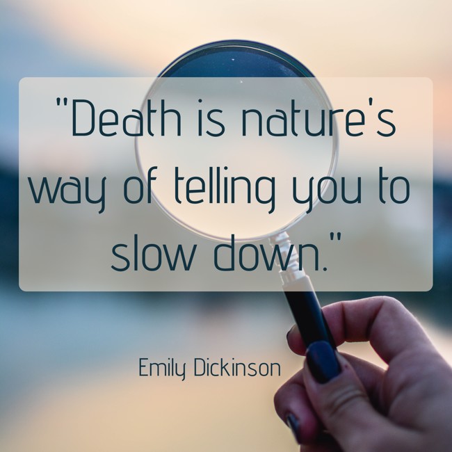  Death is nature's way of telling you to slow down.   - Emily Dickinson 