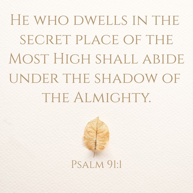  He who dwells in the secret place of the Most High shall abide under the shadow of the Almighty.   - Psalm 91:1 