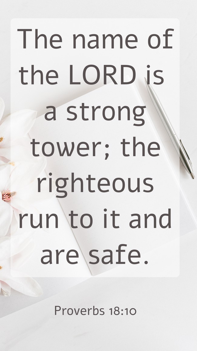  The name of the LORD is a strong tower; the righteous run to it and are safe.   - Proverbs 18:10 