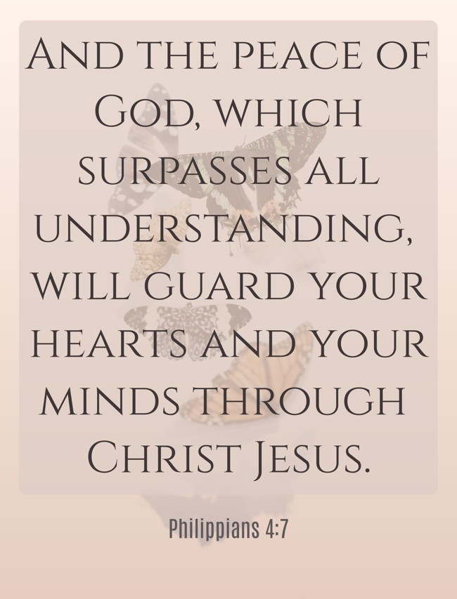  And the peace of God, which surpasses all understanding, will guard your hearts and your minds through Christ Jesus.   - Philippians 4:7 