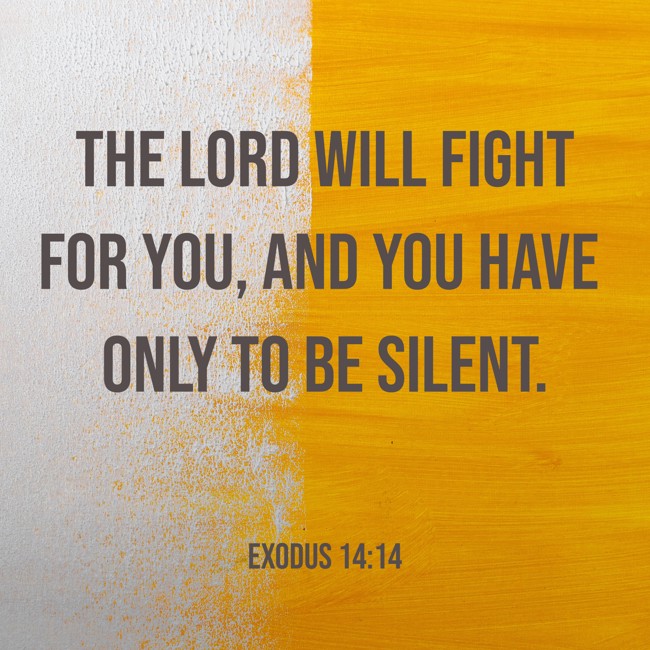  The LORD will fight for you, and you have only to be silent.   - Exodus 14:14 