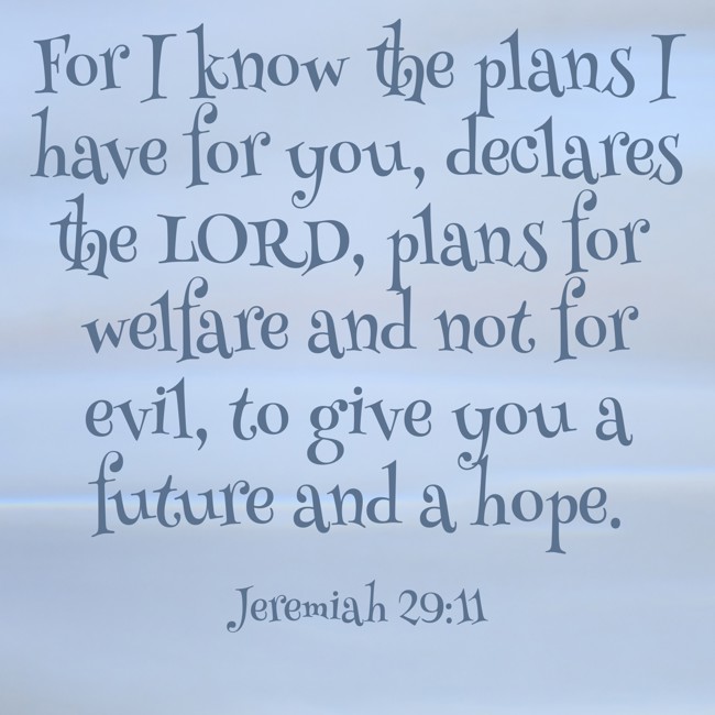  For I know the plans I have for you, declares the LORD, plans for welfare and not for evil, to give you a future and a hope.   - Jeremiah 29:11 