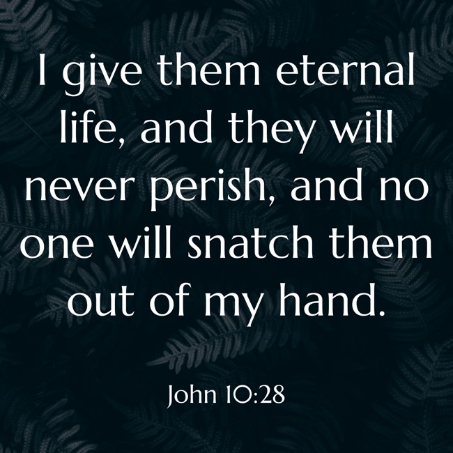  I give them eternal life, and they will never perish, and no one will snatch them out of my hand.   - John 10:28 