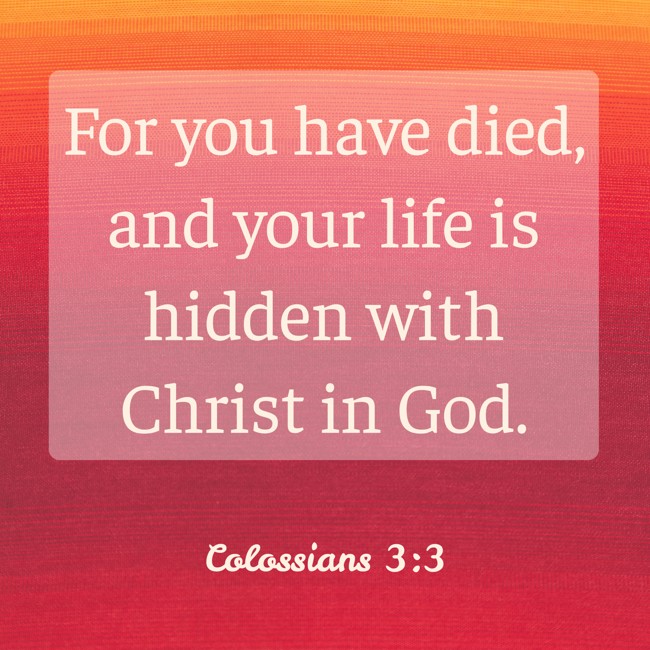  For you have died, and your life is hidden with Christ in God.   - Colossians 3:3 