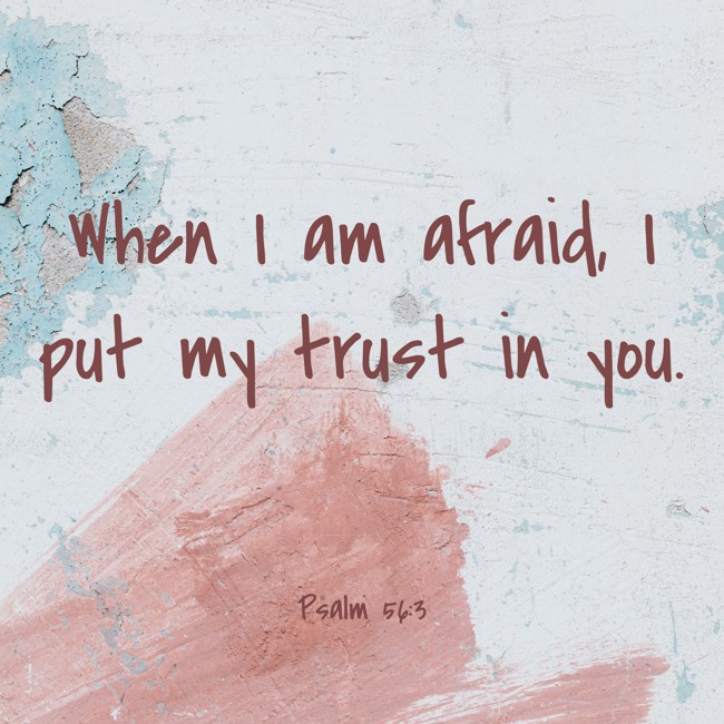  When I am afraid, I put my trust in you.   - Psalm 56:3 