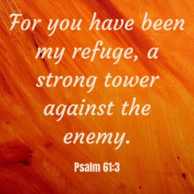  For you have been my refuge, a strong tower against the enemy.   - Psalm 61:3 