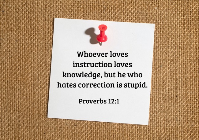  Whoever loves instruction loves knowledge, but he who hates correction is stupid.   - Proverbs 12:1 