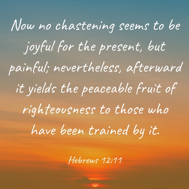  Now no chastening seems to be joyful for the present, but painful; nevertheless, afterward it yields the peaceable fruit of righteousness to those who have been trained by it.   - Hebrews 12:11 