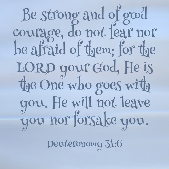  Be strong and of good courage, do not fear nor be afraid of them; for the LORD your God, He is the One who goes with you. He will not leave you nor forsake you.   - Deuteronomy 31:6 