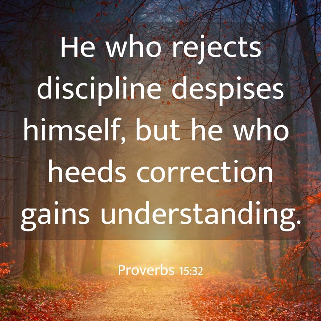  He who rejects discipline despises himself, but he who heeds correction gains understanding.   - Proverbs 15:32 