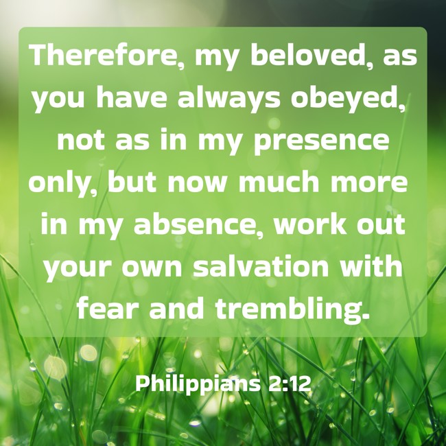  Therefore, my beloved, as you have always obeyed, not as in my presence only, but now much more in my absence, work out your own salvation with fear and trembling.   - Philippians 2:12 