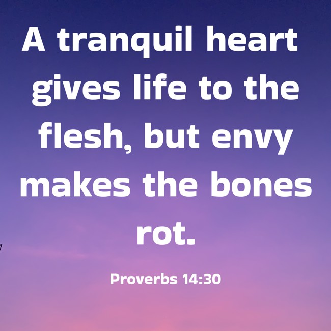 A tranquil heart gives life to the flesh, but envy makes the bones rot. - Proverbs 14:30