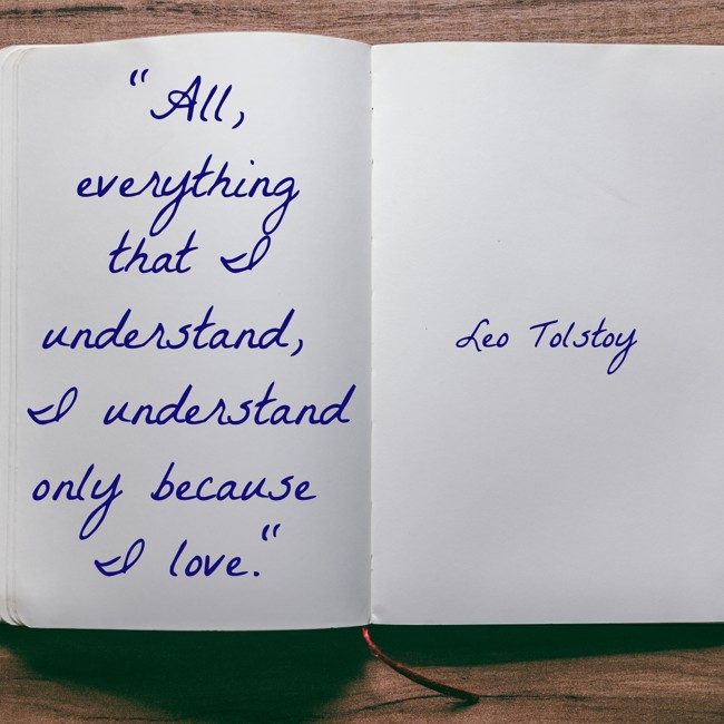 All, everything that I understand, I understand only because I love. - Leo Tolstoy
