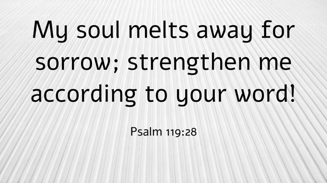 My soul melts away for sorrow; strengthen me according to your word!   - Psalm 119:28 