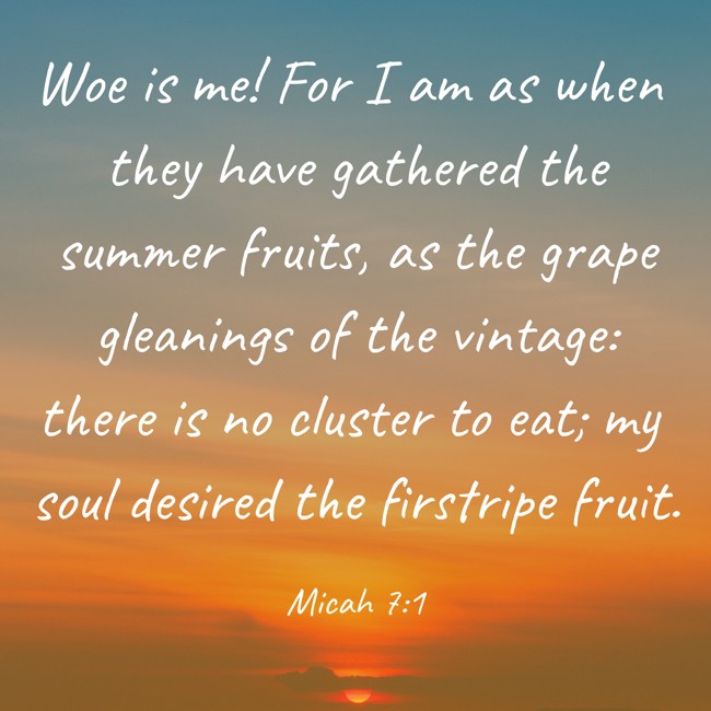  Woe is me! For I am as when they have gathered the summer fruits, as the grape gleanings of the vintage: there is no cluster to eat; my soul desired the firstripe fruit.   - Micah 7:1 