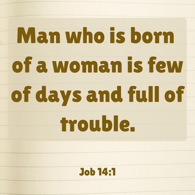  Man who is born of a woman is few of days and full of trouble.   - Job 14:1 
