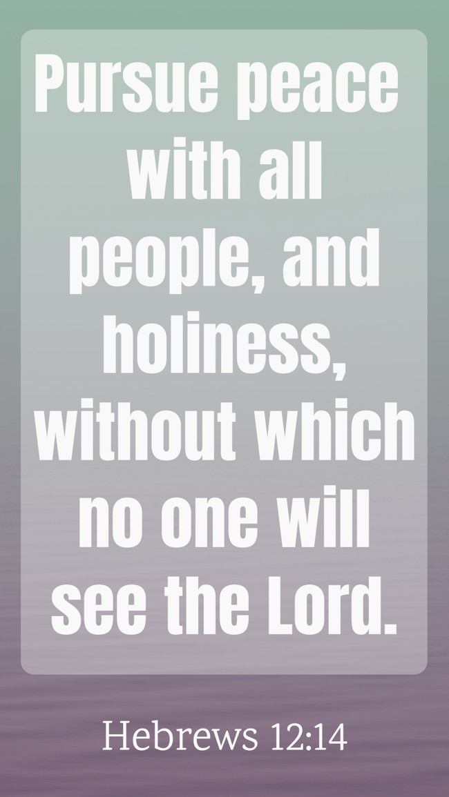 Pursue peace with all people, and holiness, without which no one will see the Lord. - Hebrews 12:14