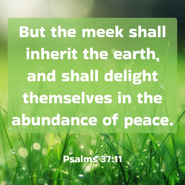 But the meek shall inherit the earth, and shall delight themselves in the abundance of peace. - Psalms 37:11