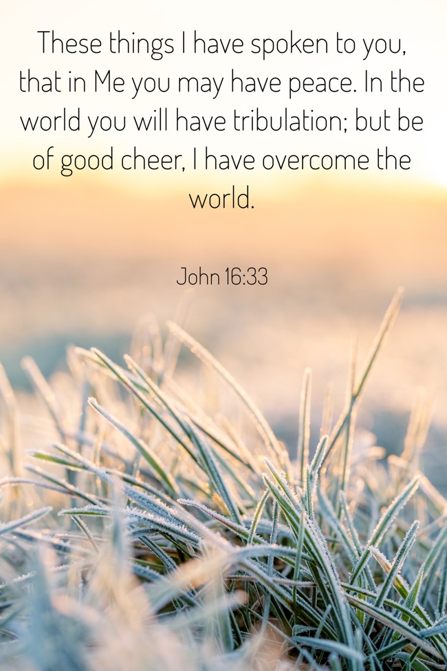 These things I have spoken to you, that in Me you may have peace. In the world you will have tribulation; but be of good cheer, I have overcome the world. - John 16:33
