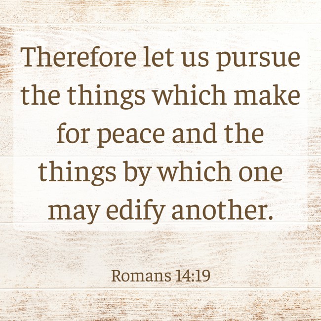 Therefore let us pursue the things which make for peace and the things by which one may edify another. - Romans 14:19