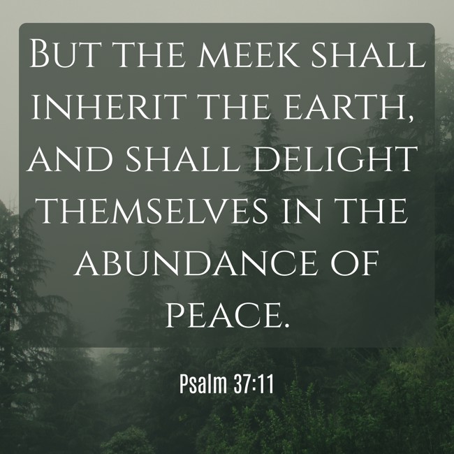 But the meek shall inherit the earth, and shall delight themselves in the abundance of peace. - Psalm 37:11