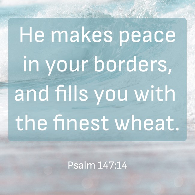 He makes peace in your borders, and fills you with the finest wheat. - Psalm 147:14