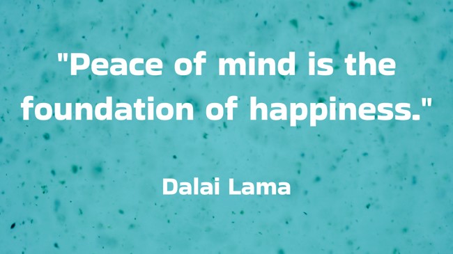 Peace of mind is the foundation of happiness. - Dalai Lama