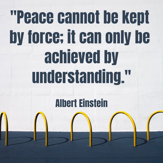 Peace cannot be kept by force; it can only be achieved by understanding. - Albert Einstein