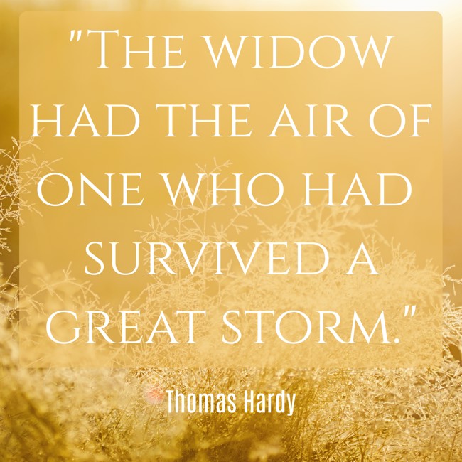 The widow had the air of one who had survived a great storm. - Thomas Hardy