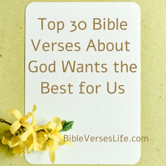 Top 30 Bible Verses About God Wants the Best for Us