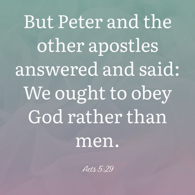 But Peter and the other apostles answered and said: We ought to obey God rather than men. - Acts 5:29