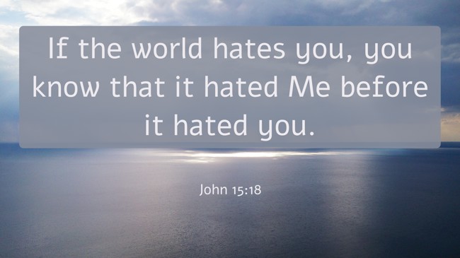 If the world hates you, you know that it hated Me before it hated you. - John 15:18