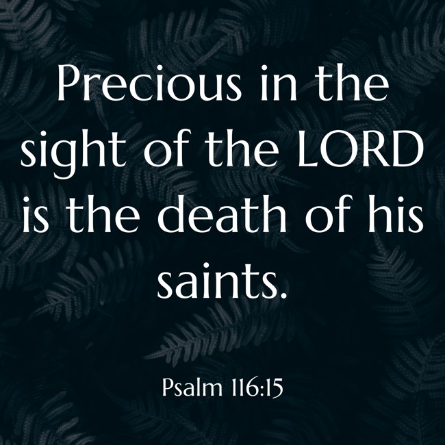  Precious in the sight of the LORD is the death of his saints.   - Psalm 116:15 