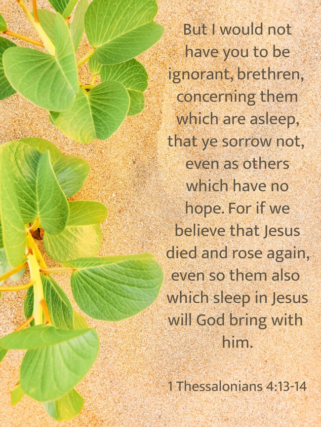  But I would not have you to be ignorant, brethren, concerning them which are asleep, that ye sorrow not, even as others which have no hope. For if we believe that Jesus died and rose again, even so them also which sleep in Jesus will God bring with him.   - 1 Thessalonians 4:13-14 