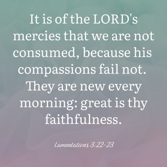  It is of the LORD's mercies that we are not consumed, because his compassions fail not. They are new every morning: great is thy faithfulness.   - Lamentations 3:22-23 