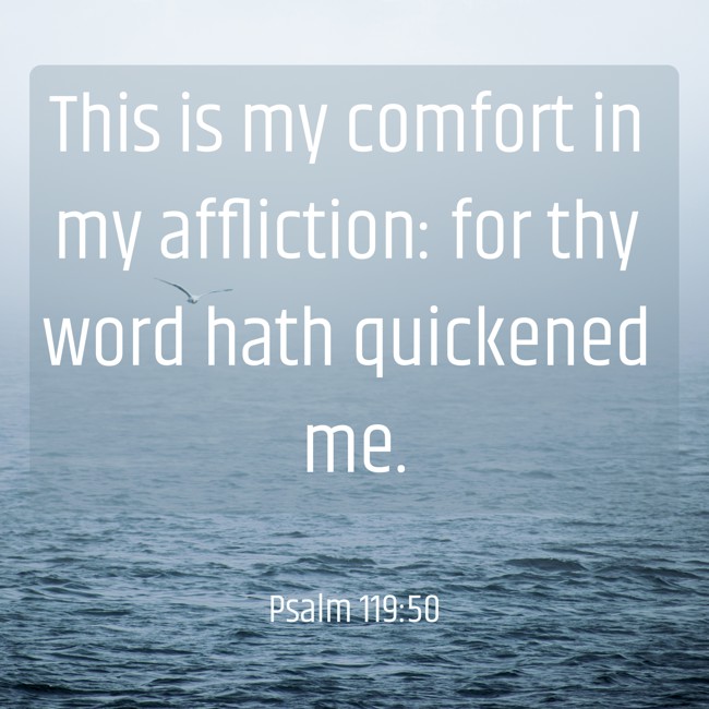  This is my comfort in my affliction: for thy word hath quickened me.   - Psalm 119:50 