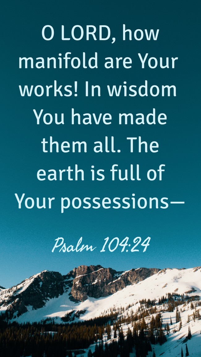  O LORD, how manifold are Your works! In wisdom You have made them all. The earth is full of Your possessions—   - Psalm 104:24 