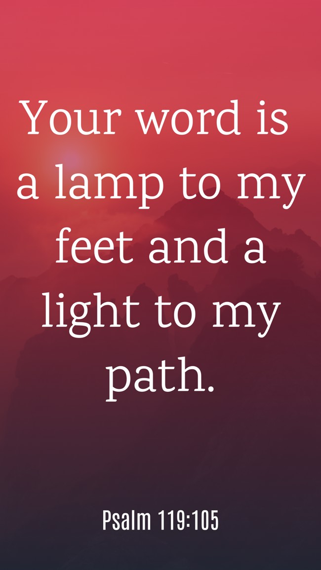  Your word is a lamp to my feet and a light to my path.   - Psalm 119:105 