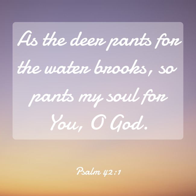  As the deer pants for the water brooks, so pants my soul for You, O God.   - Psalm 42:1 