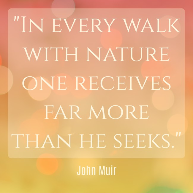  In every walk with nature one receives far more than he seeks.   - John Muir 