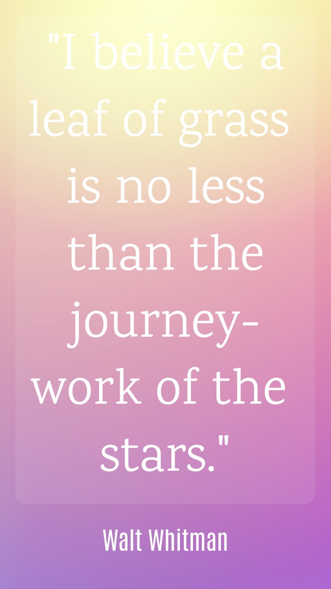  I believe a leaf of grass is no less than the journey-work of the stars.   - Walt Whitman 