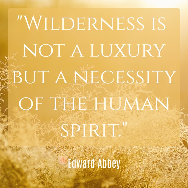  Wilderness is not a luxury but a necessity of the human spirit.   - Edward Abbey 