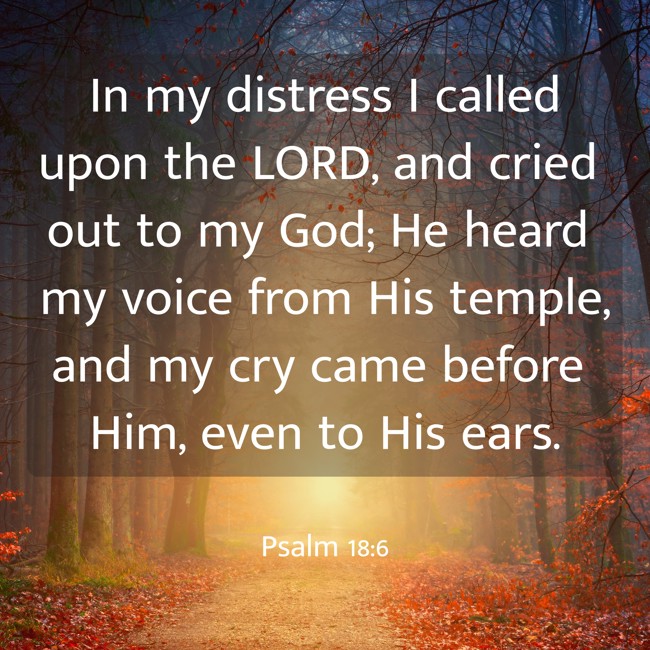 In my distress I called upon the LORD, and cried out to my God; He heard my voice from His temple, and my cry came before Him, even to His ears. - Psalm 18:6