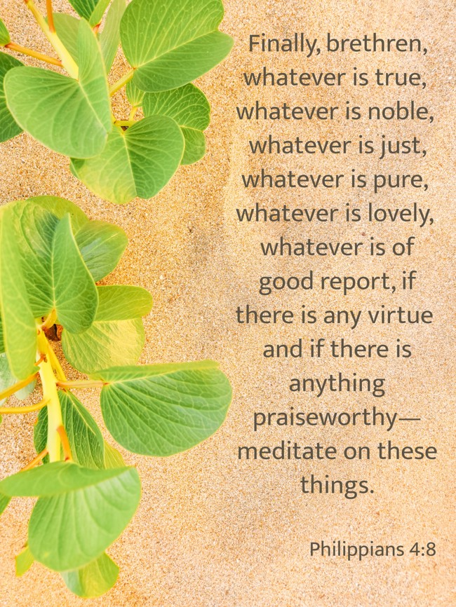 Finally, brethren, whatever is true, whatever is noble, whatever is just, whatever is pure, whatever is lovely, whatever is of good report, if there is any virtue and if there is anything praiseworthy—meditate on these things. - Philippians 4:8