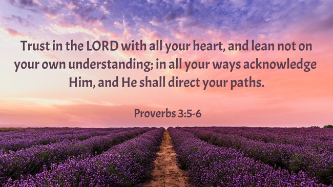 Trust in the LORD with all your heart, and lean not on your own understanding; in all your ways acknowledge Him, and He shall direct your paths. - Proverbs 3:5-6