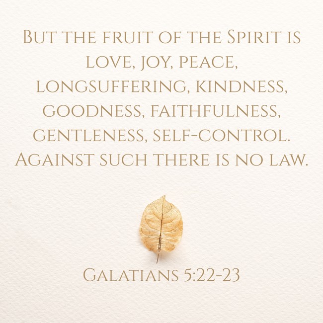 But the fruit of the Spirit is love, joy, peace, longsuffering, kindness, goodness, faithfulness, gentleness, self-control. Against such there is no law. - Galatians 5:22-23