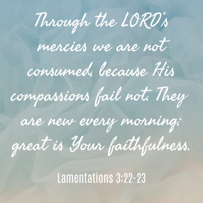 Through the LORD’s mercies we are not consumed, because His compassions fail not. They are new every morning; great is Your faithfulness. - Lamentations 3:22-23