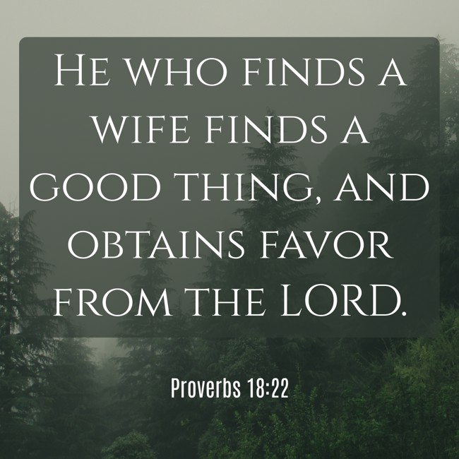 He who finds a wife finds a good thing, and obtains favor from the LORD. - Proverbs 18:22