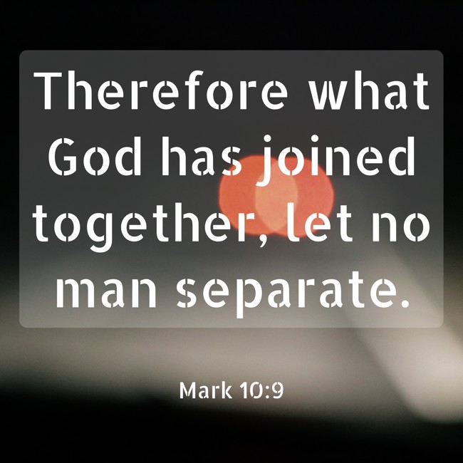 Therefore what God has joined together, let no man separate. - Mark 10:9