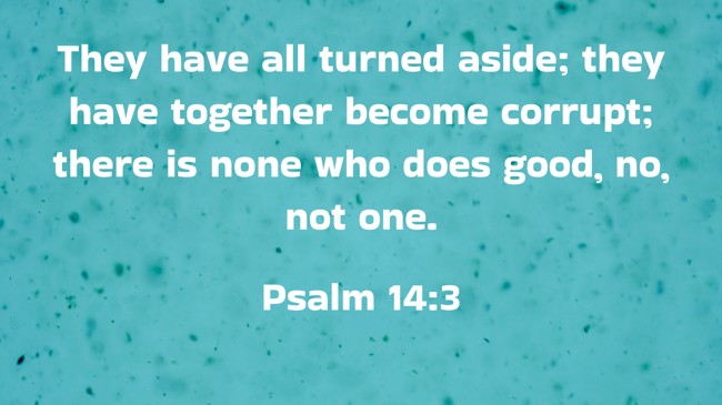 They have all turned aside; they have together become corrupt; there is none who does good, no, not one. - Psalm 14:3